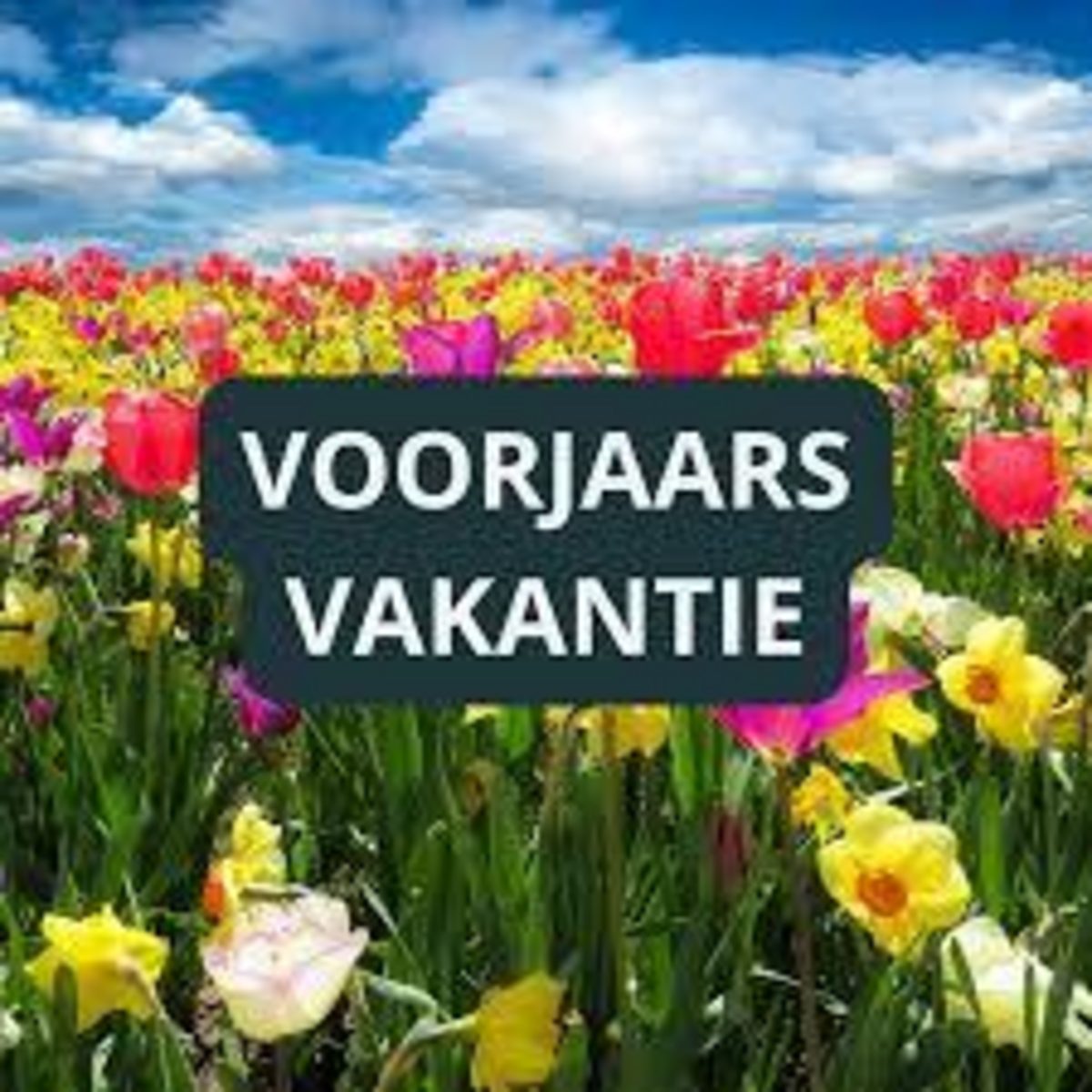 Voorjaarsvakantie 2025