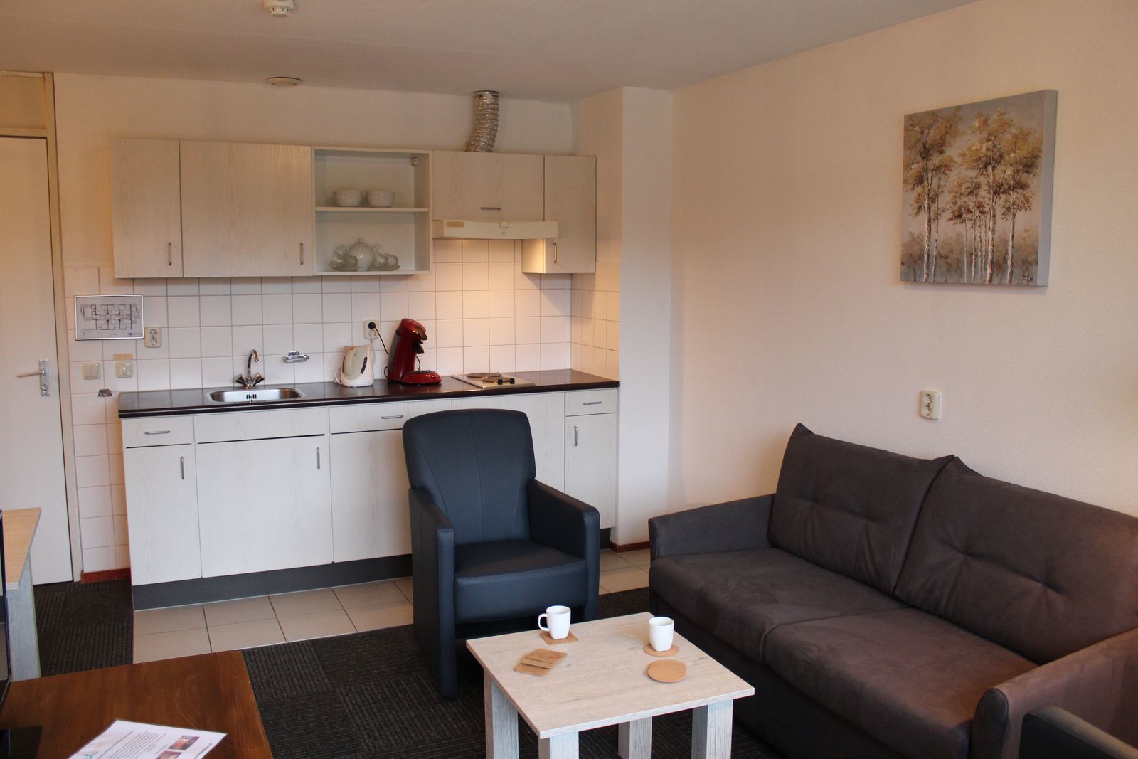 4-person apartment in Doorn - Utrecht, Nederland foto 6133813
