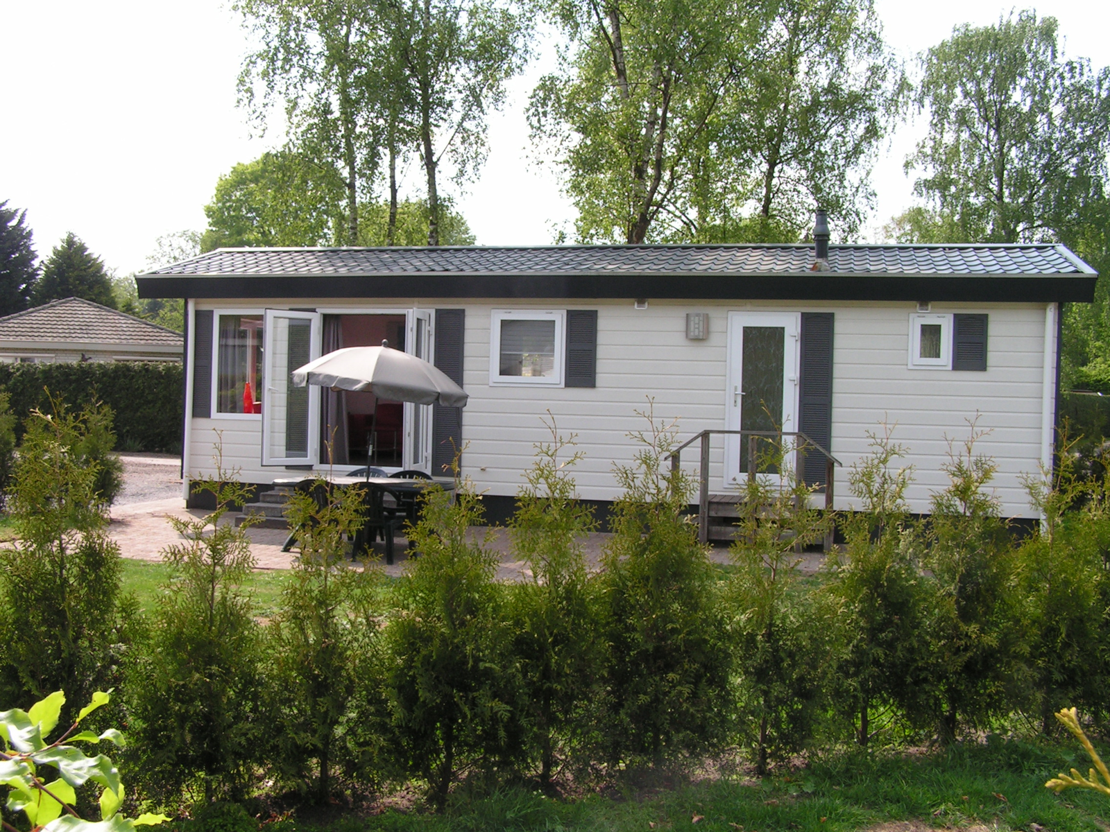 goudvink-602