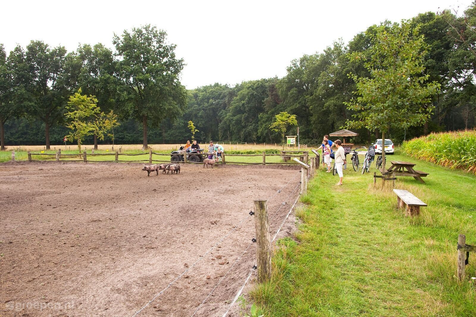 Groepsaccommodatie Baarschot