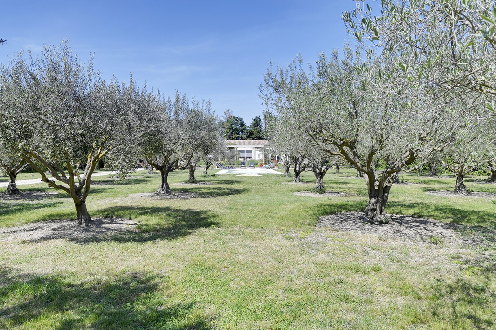 La Villa Olive Tarascon