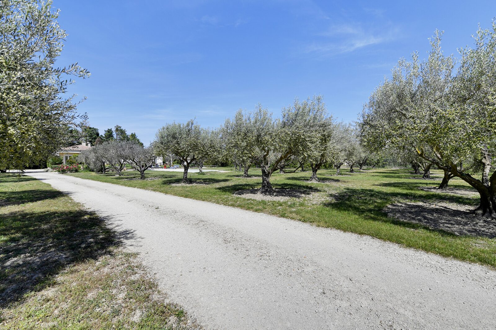 La Villa Olive Tarascon