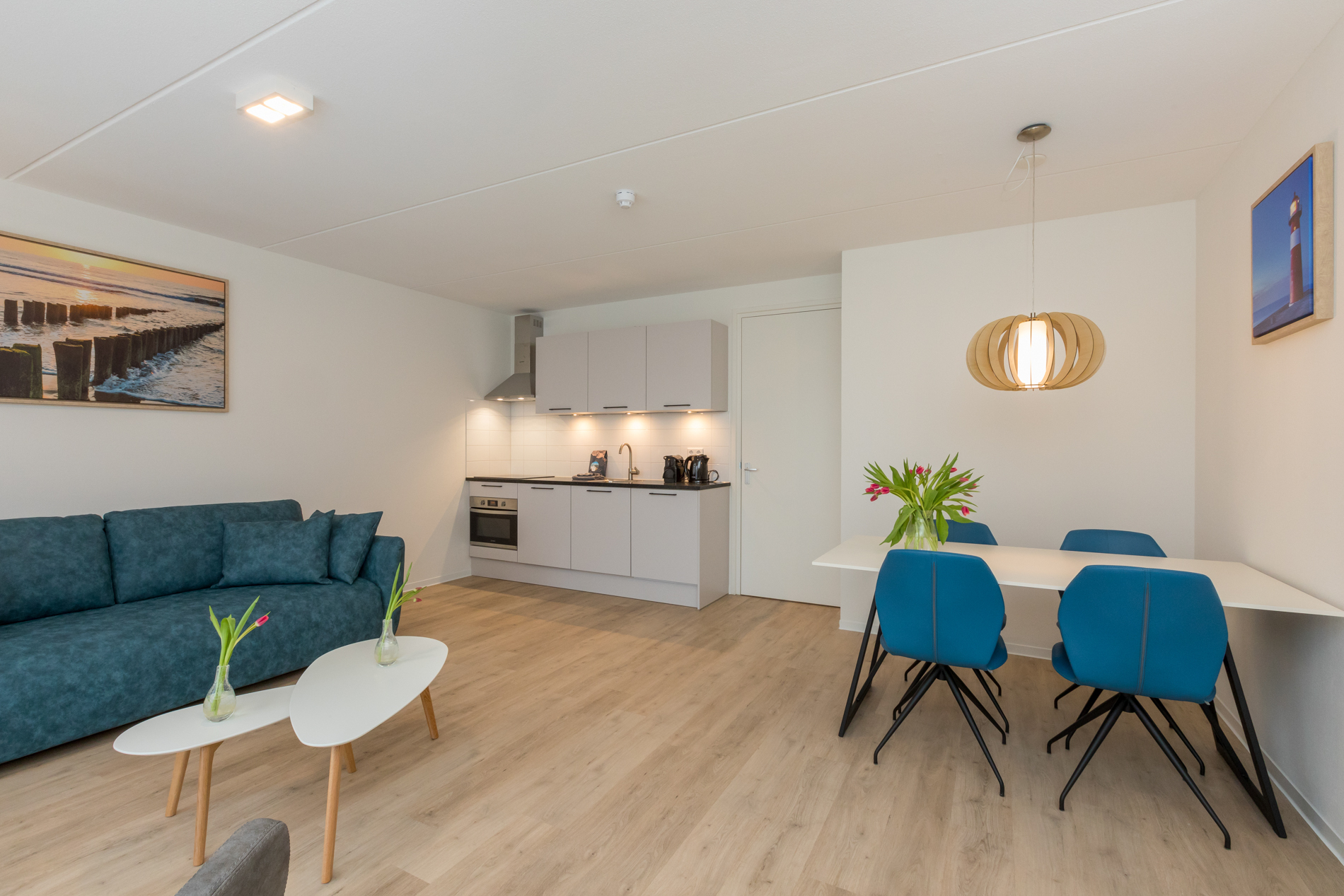 luxury-3-person-apartment-zoutelande