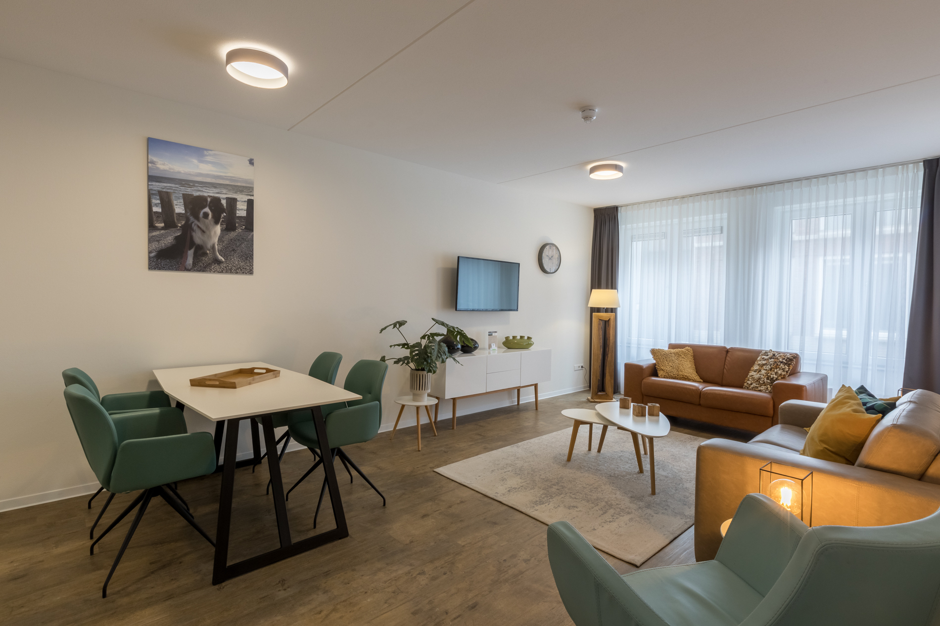 luxury-4-pers-apartment-pet-allowed