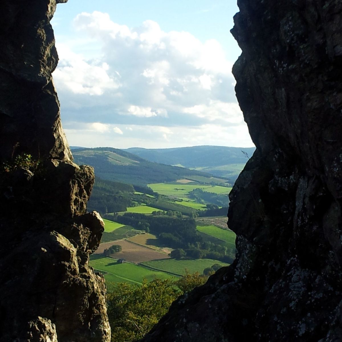 Studio - Kiefernweg 14 G | Winterberg