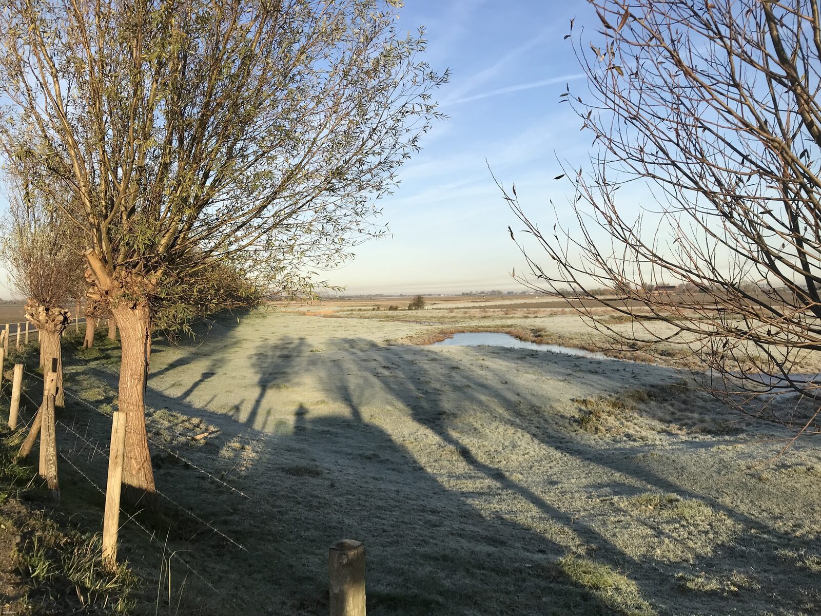 Vakantiewoning Lepelblad 42 Nieuwvliet Bad