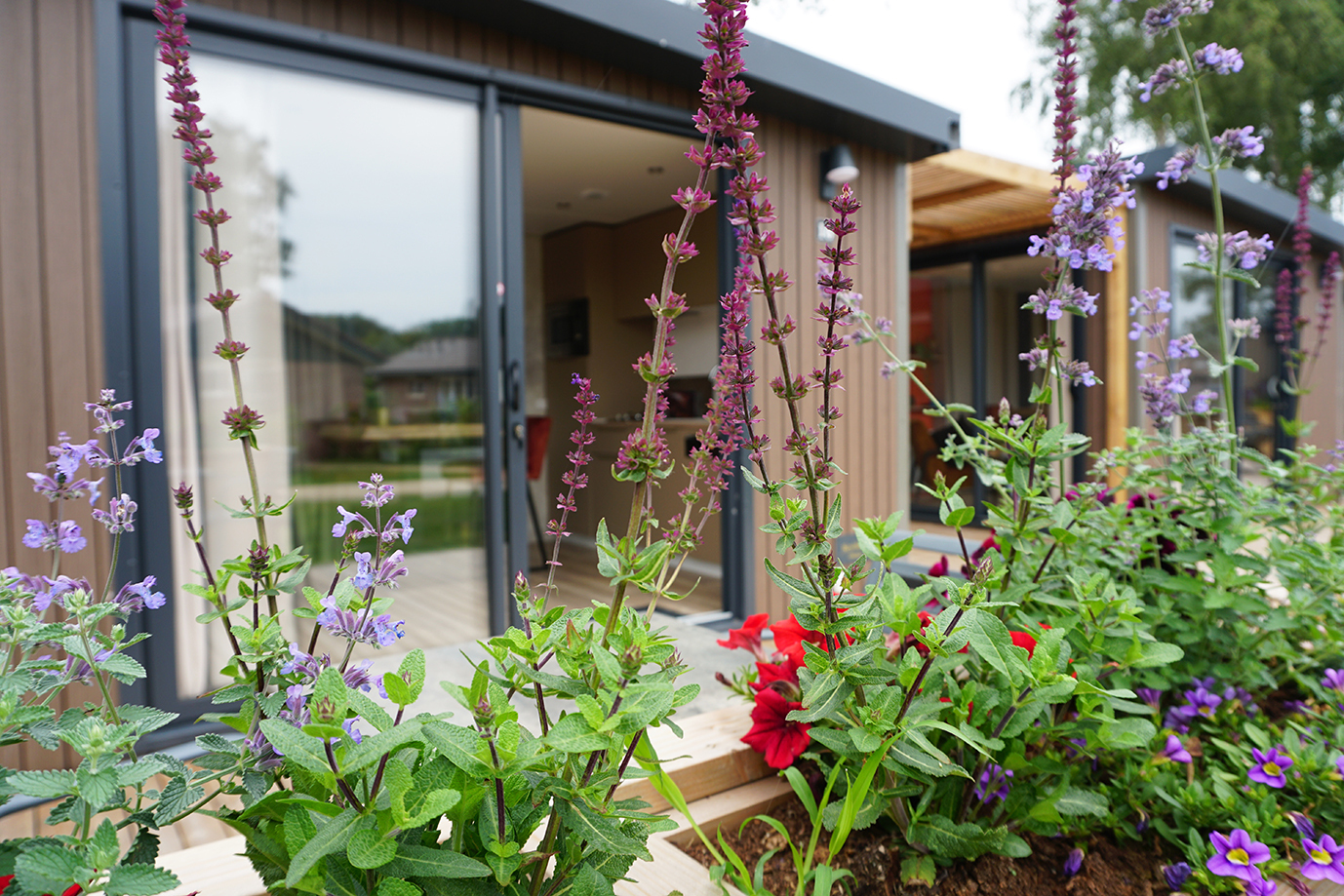 Luxe 2-persoons Hotellodge op de Veluwe met kitchenette, vaatwasser en hotelservice. Ontdek natuur & ontspanning bij Recreatiepark De Boshoek!
