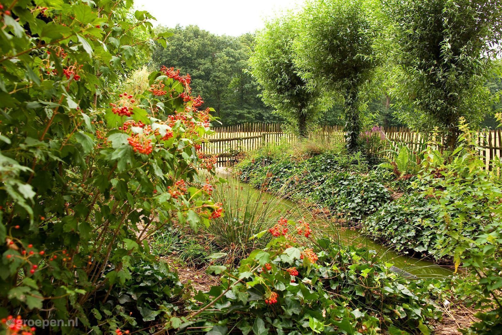 Group accommodation Baarschot