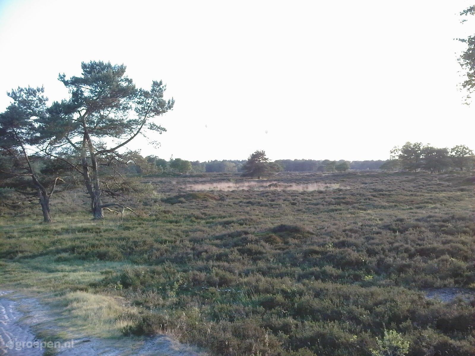 Holiday Farmhouse Bakkeveen