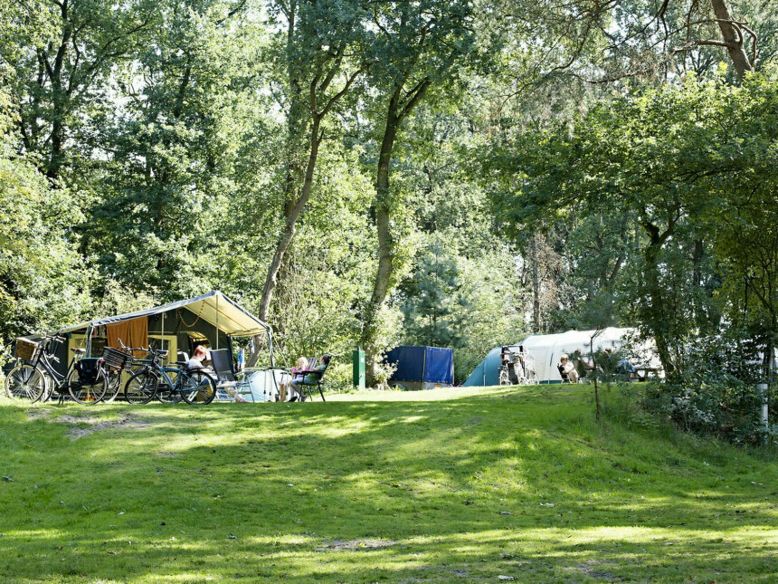 Minde om forbruge Objector Campingplatz mit Hund 🐕 | Holland | Beerze Bulten