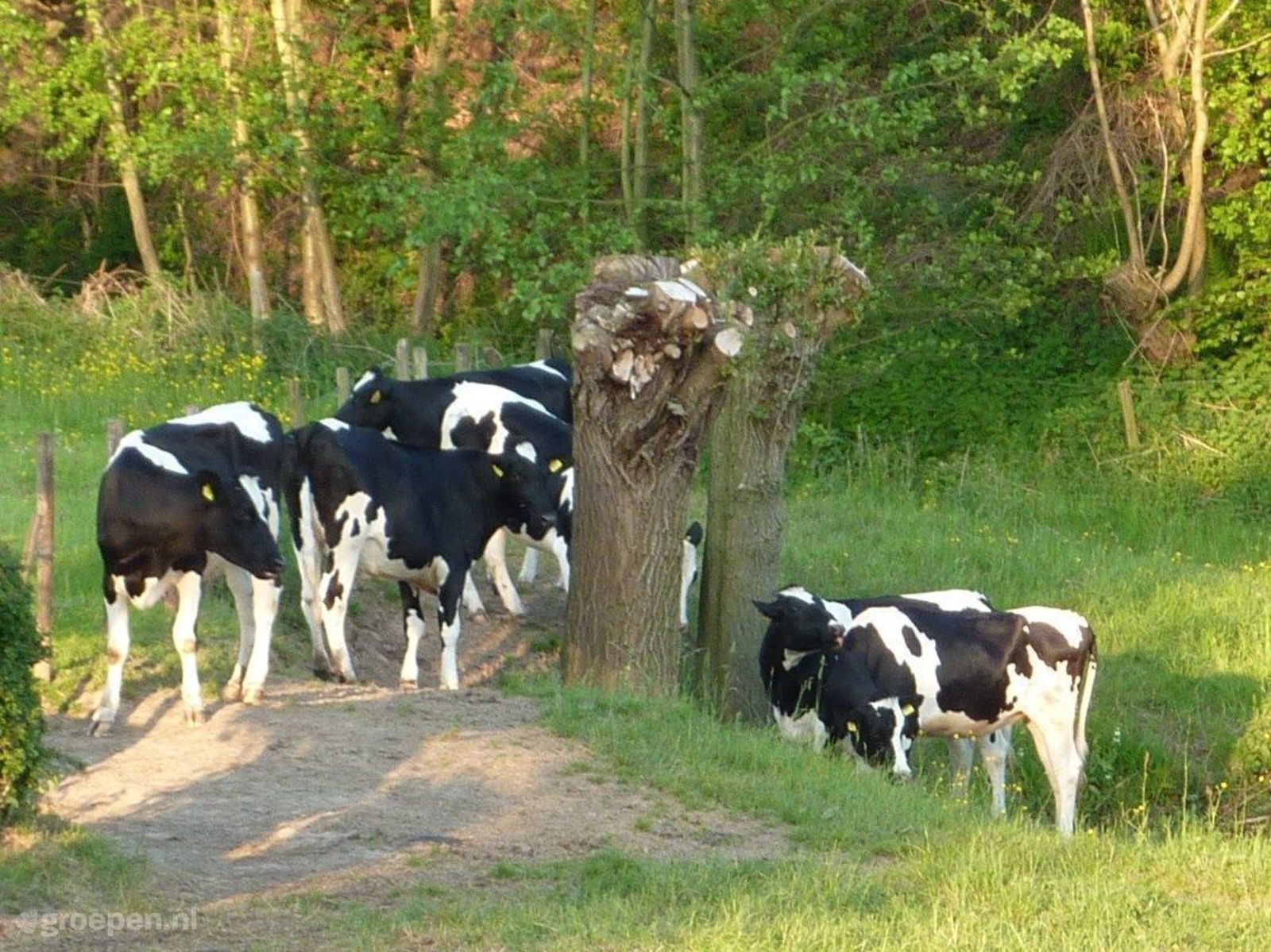 Gruppenunterkunft Bocholtz