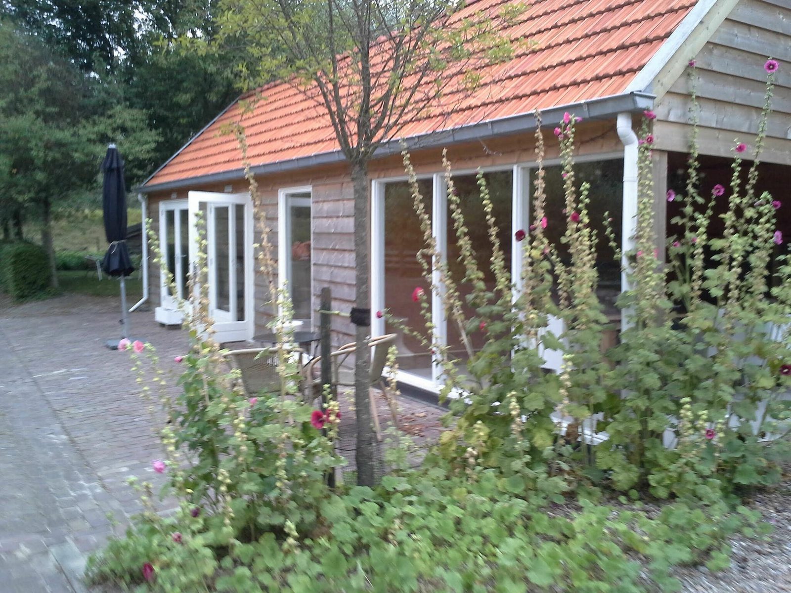 VZ909 Cottage in Hulst