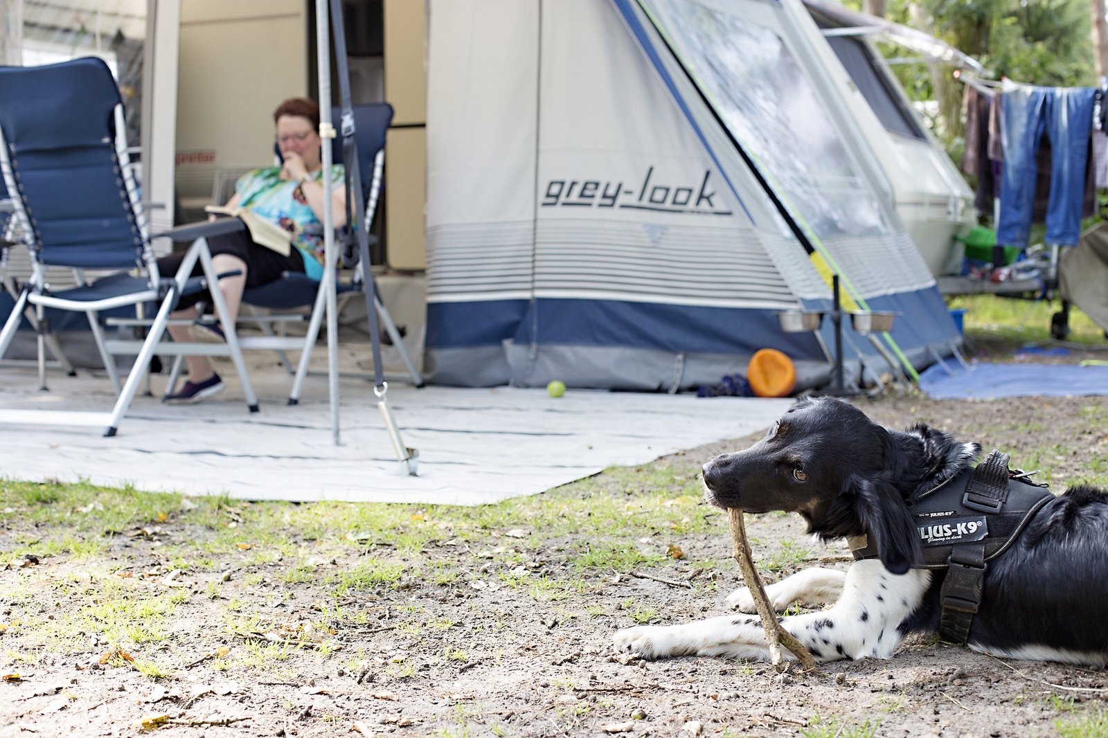 Comfort Camping pitch with pet