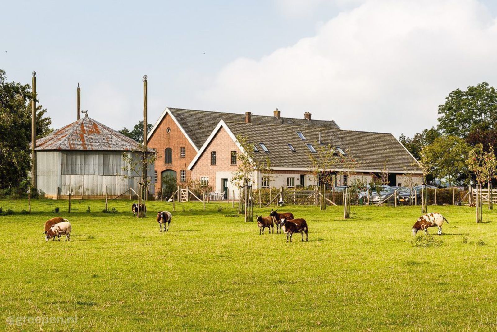 Vakantiehuis Cothen
