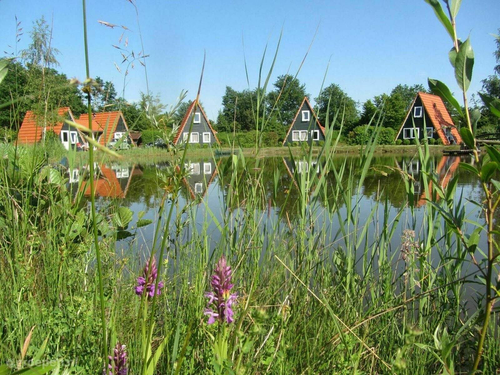 Groepsaccommodatie Bant