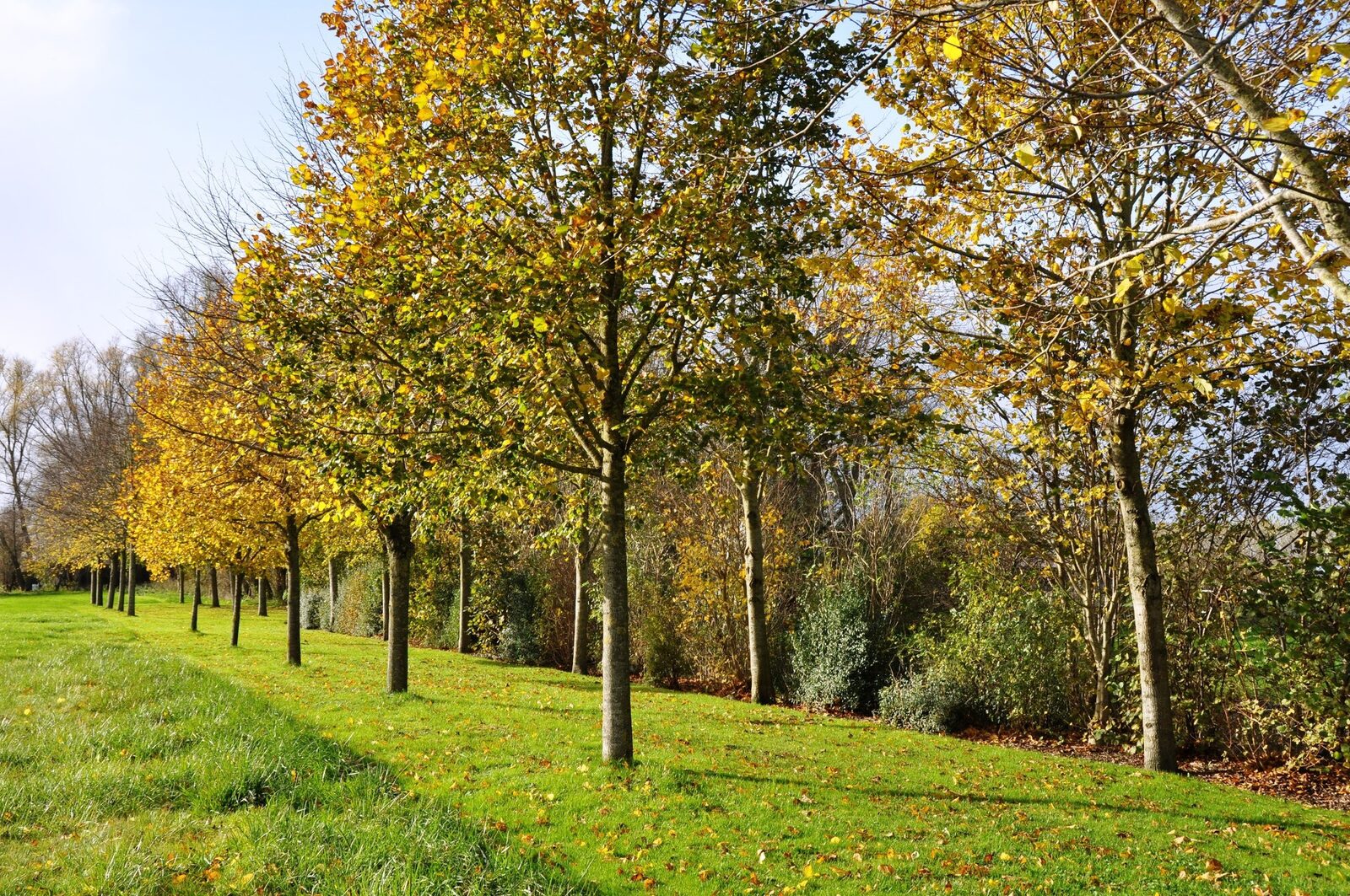 Lindenhof Loënga - hip van binnen en authentiek van buiten