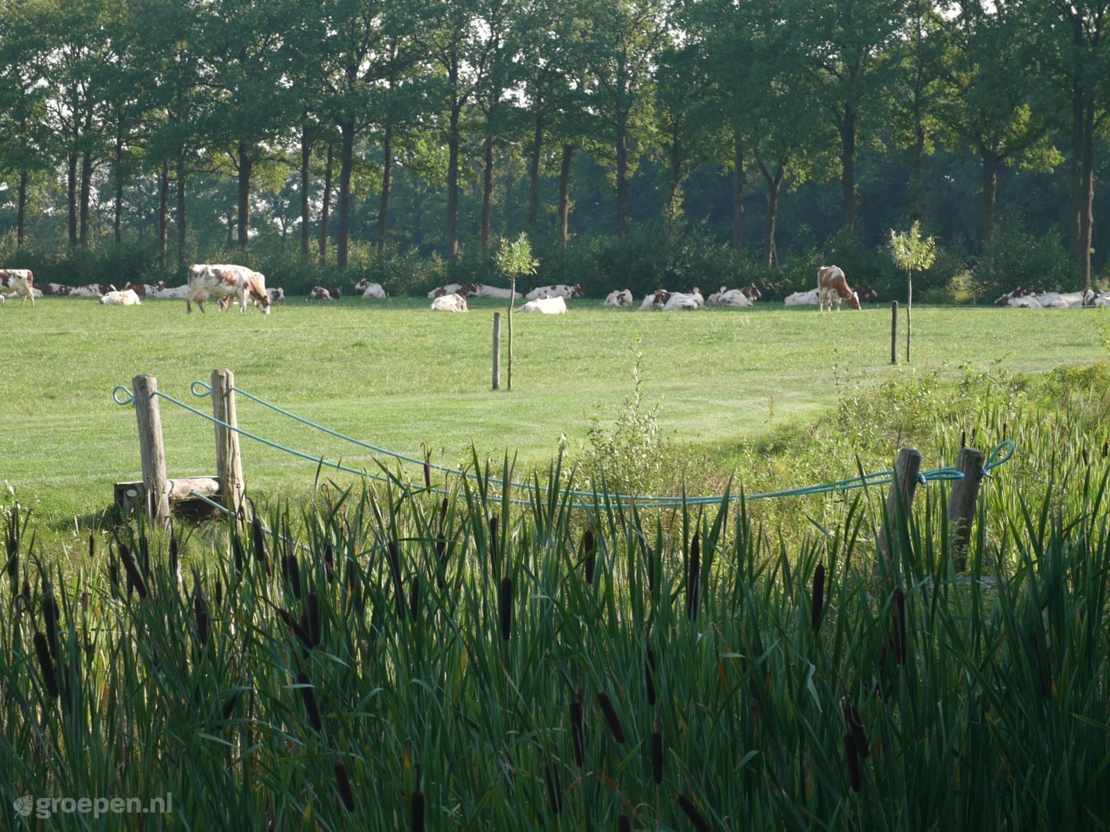 Vakantieboerderij Holten