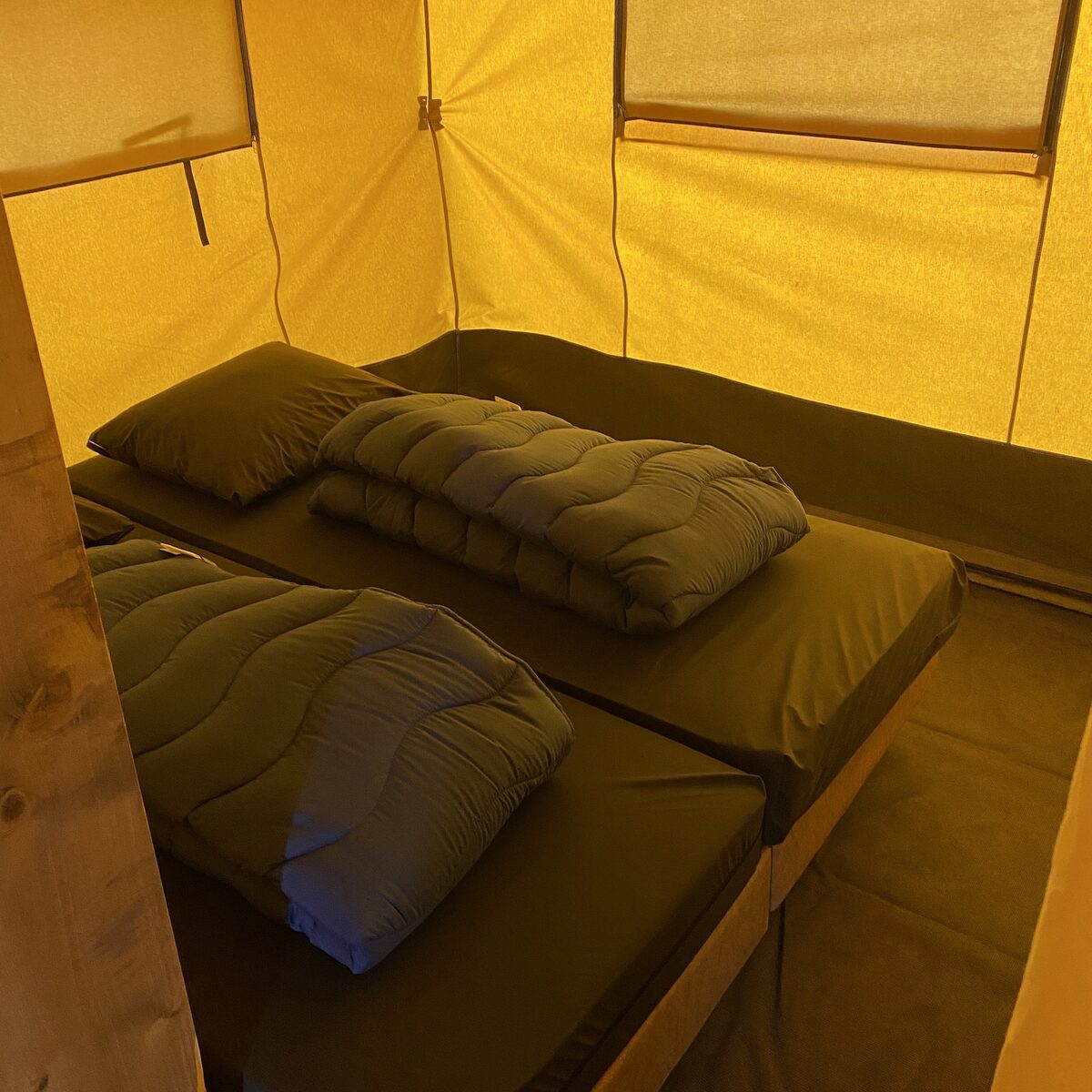 Rental tent Safari 6p.