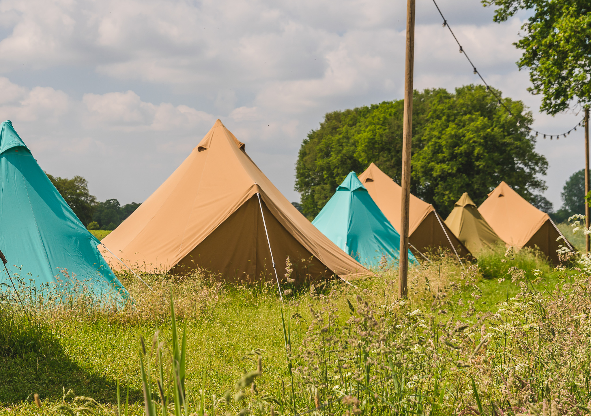 Pop-up glamping: Buurvrouws' Belltentje | 2-4 pers. - Zuna