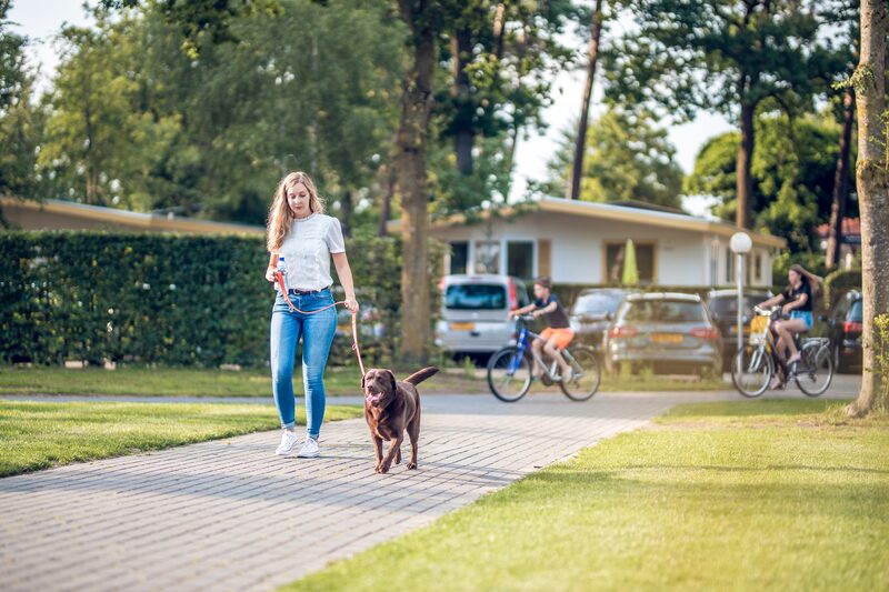 Camping an der Veluwe - genießen Sie in Ackersate alle Annehmlichkeiten!
