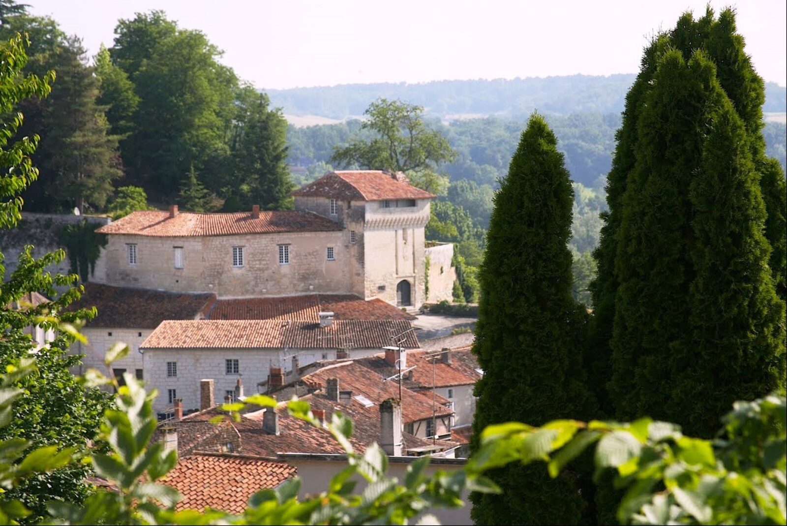 Domaine de Longeveau - Figuier