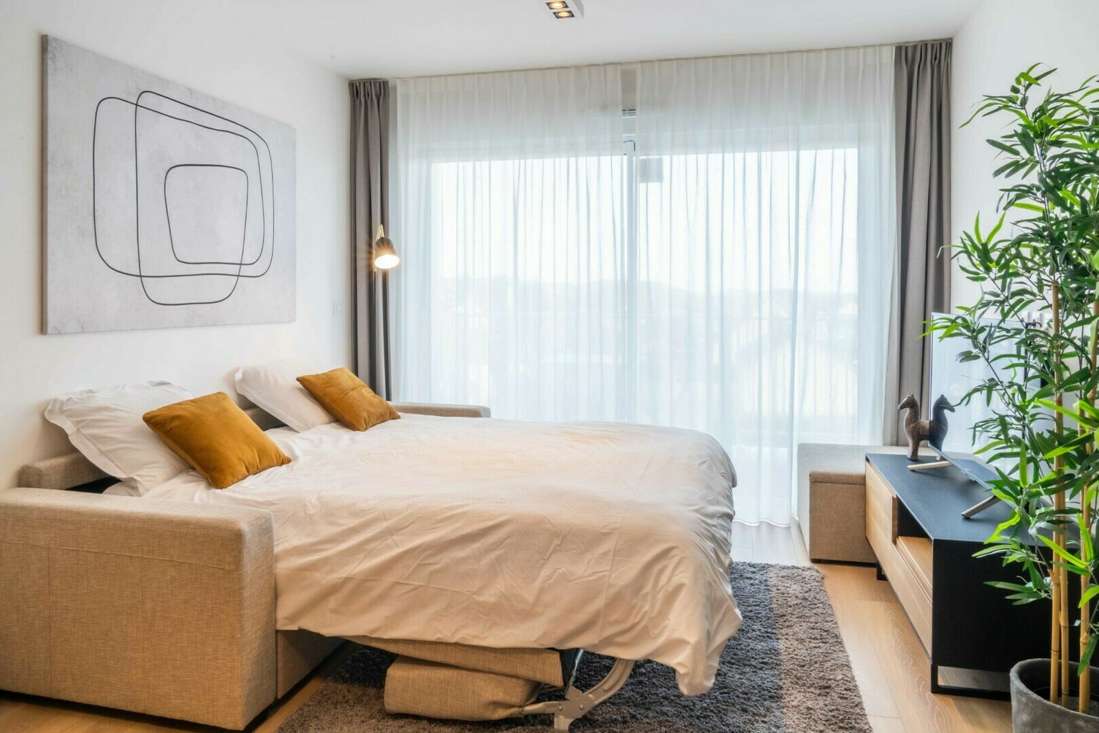[Standard] Studio sofa bed & bunk beds
