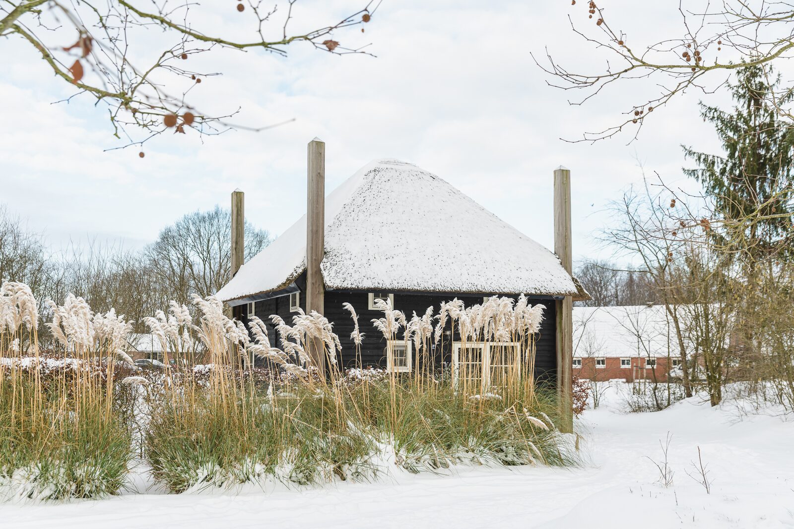 Reggehooiberg mit Sauna und Whirlpool | 5 Personen