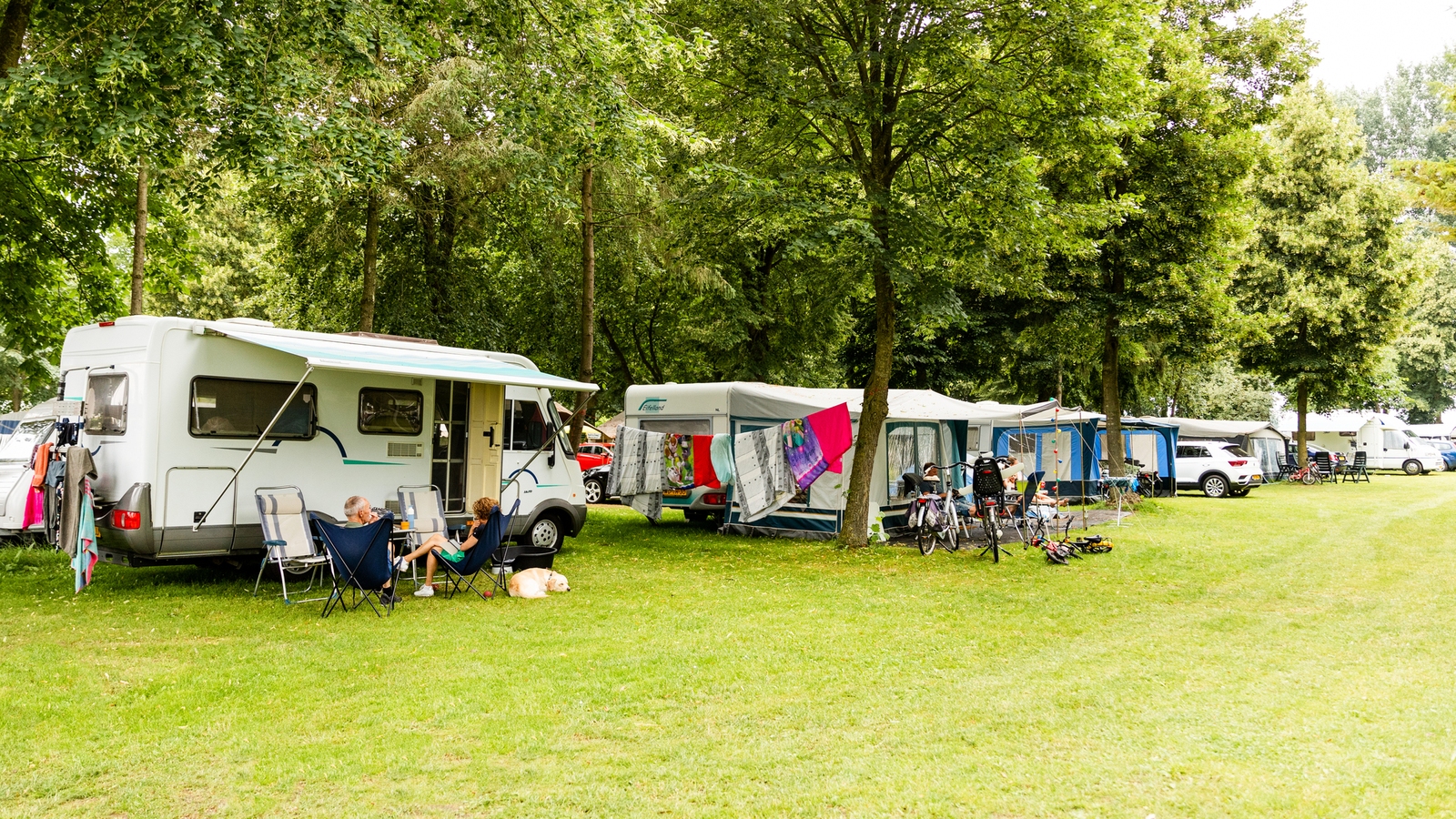 Camping De Scherpenhof - Kampeerplaats Camping 2