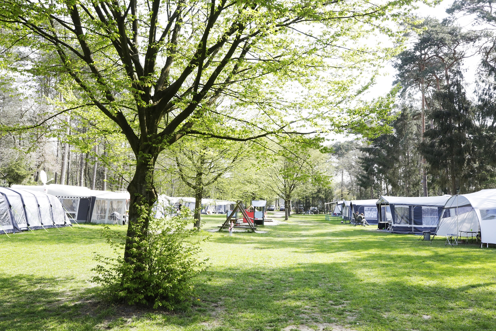 banner Pekkadillo verwijderen Camping de Paal | 5-sterren gezinscamping in Bergeijk | Kom je ook bij ons  spelen?
