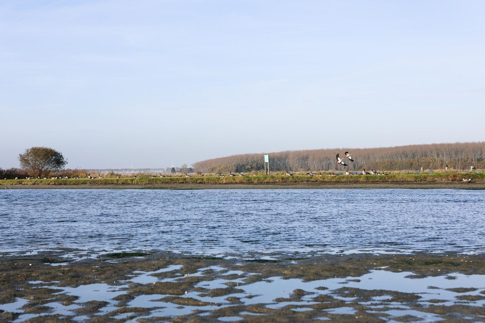 VZ1077 Holiday home in Wolphaartsdijk