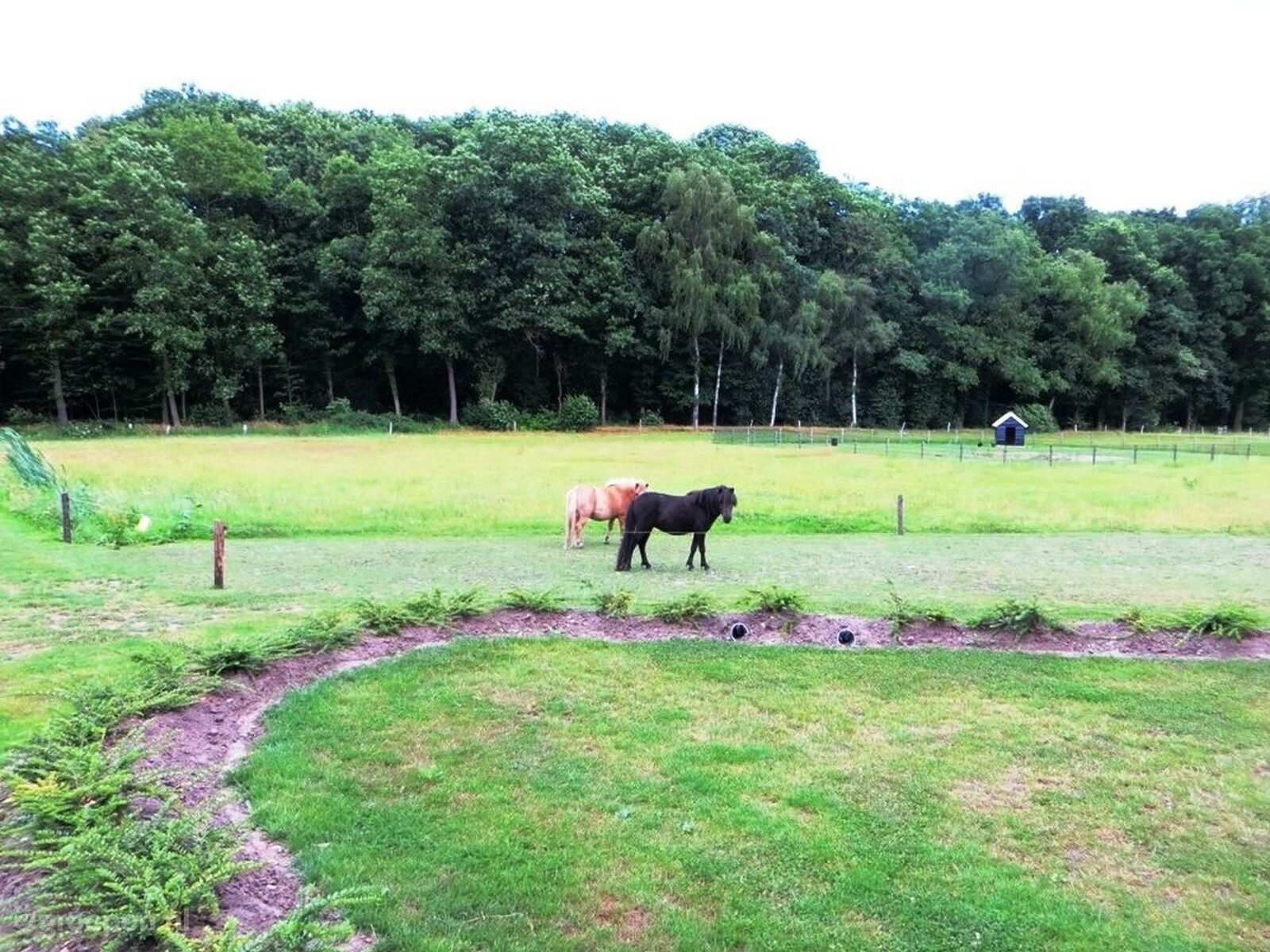 Vakantieboerderij Losser