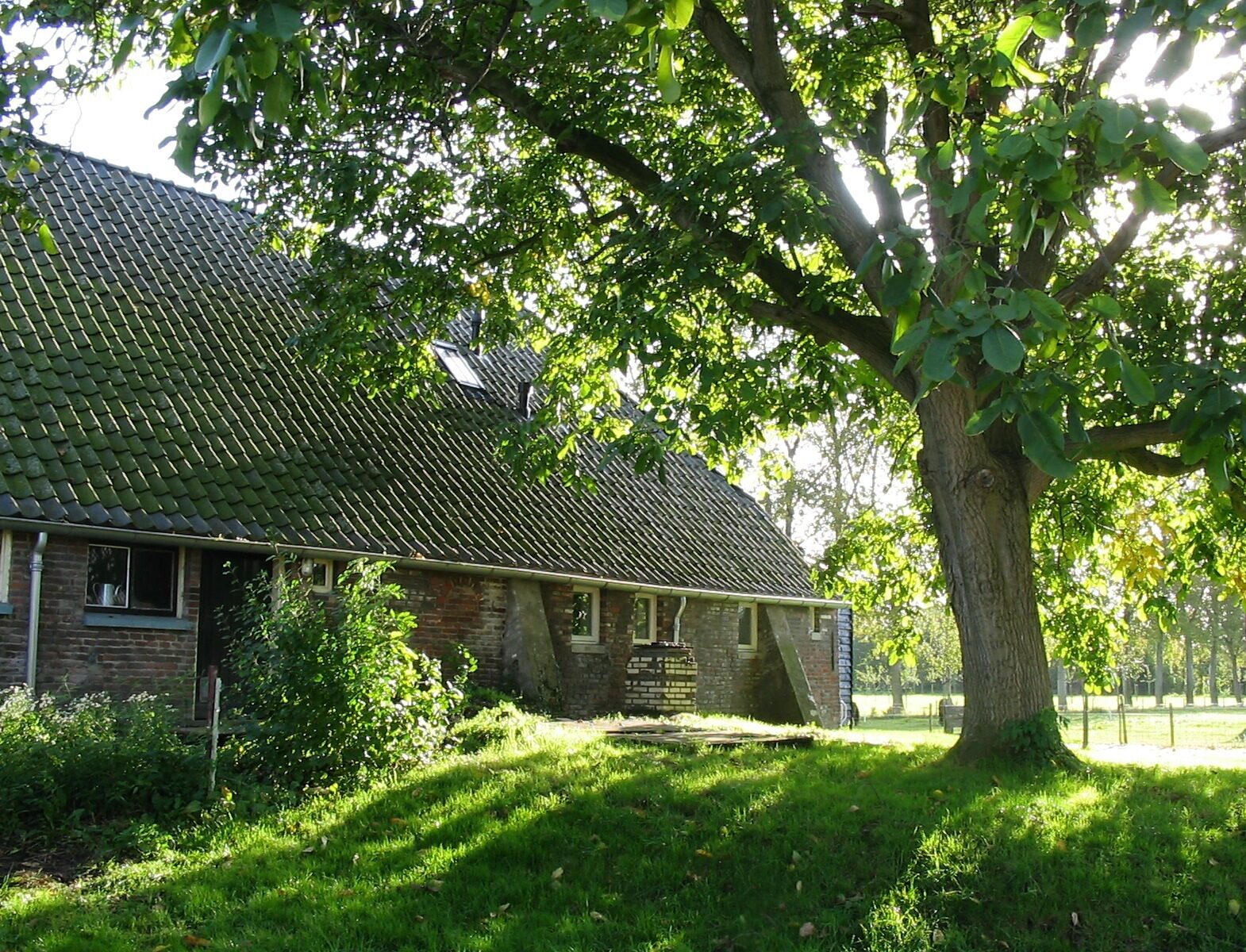 Ratelpopulier - familie vakantiehuis Gelderland