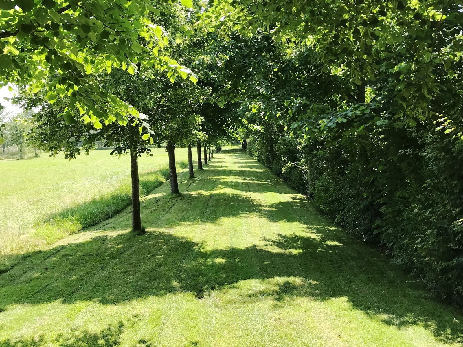 Lindenhof Loënga - hip van binnen en authentiek van buiten