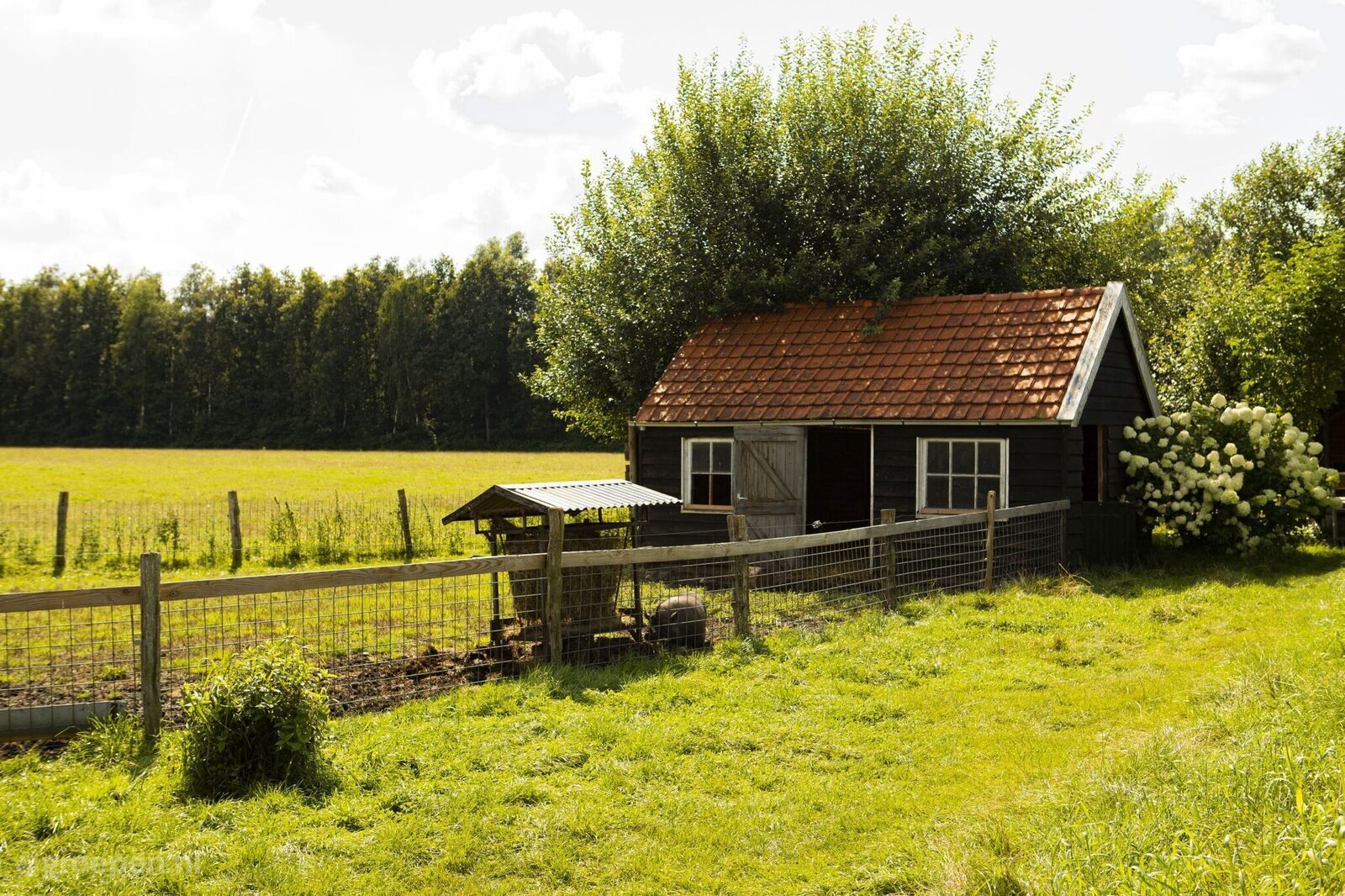 Holiday Farmhouse Dwingeloo
