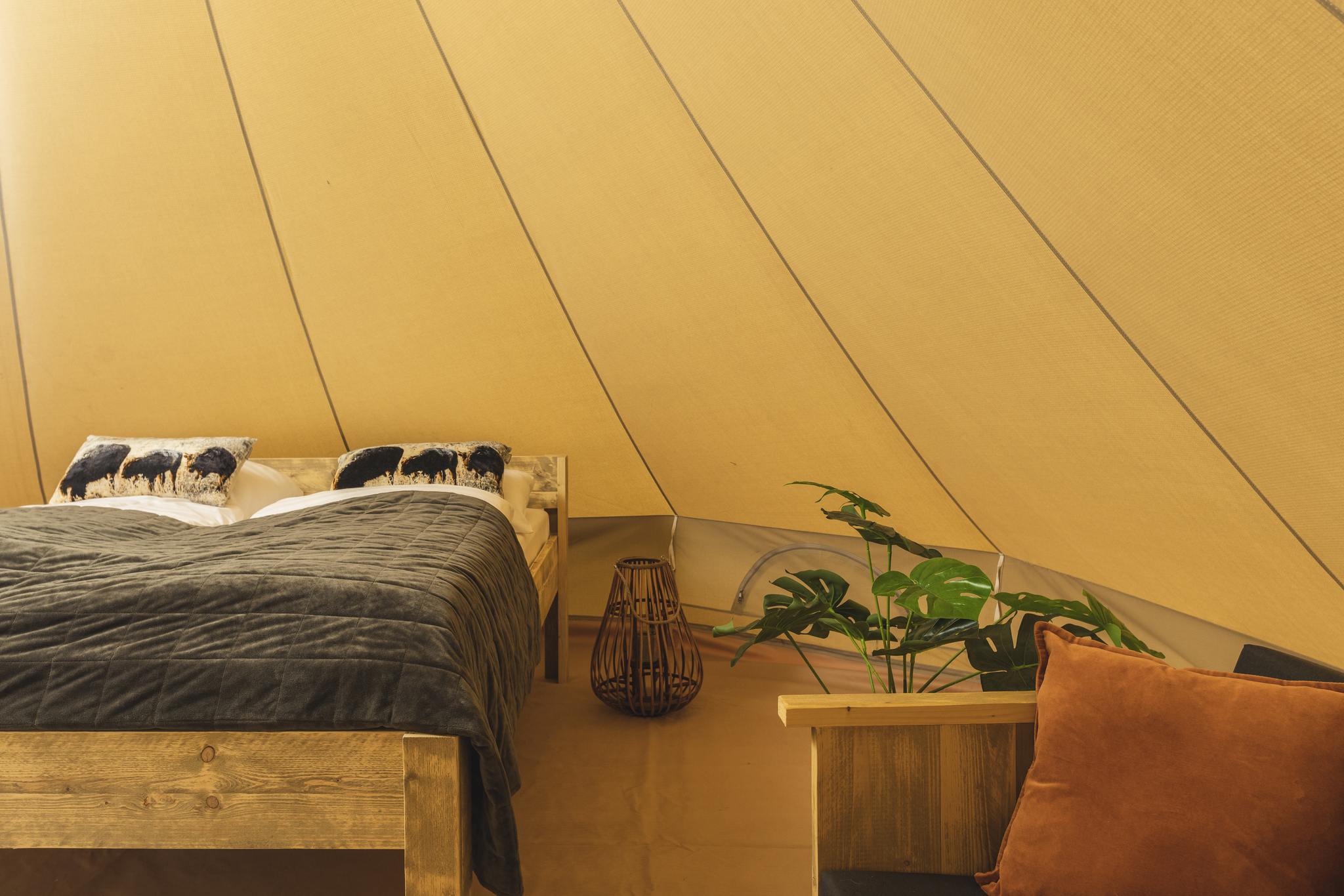 Happy in the meadow tent with private sanitary facilities | 2 pers. - Zuna