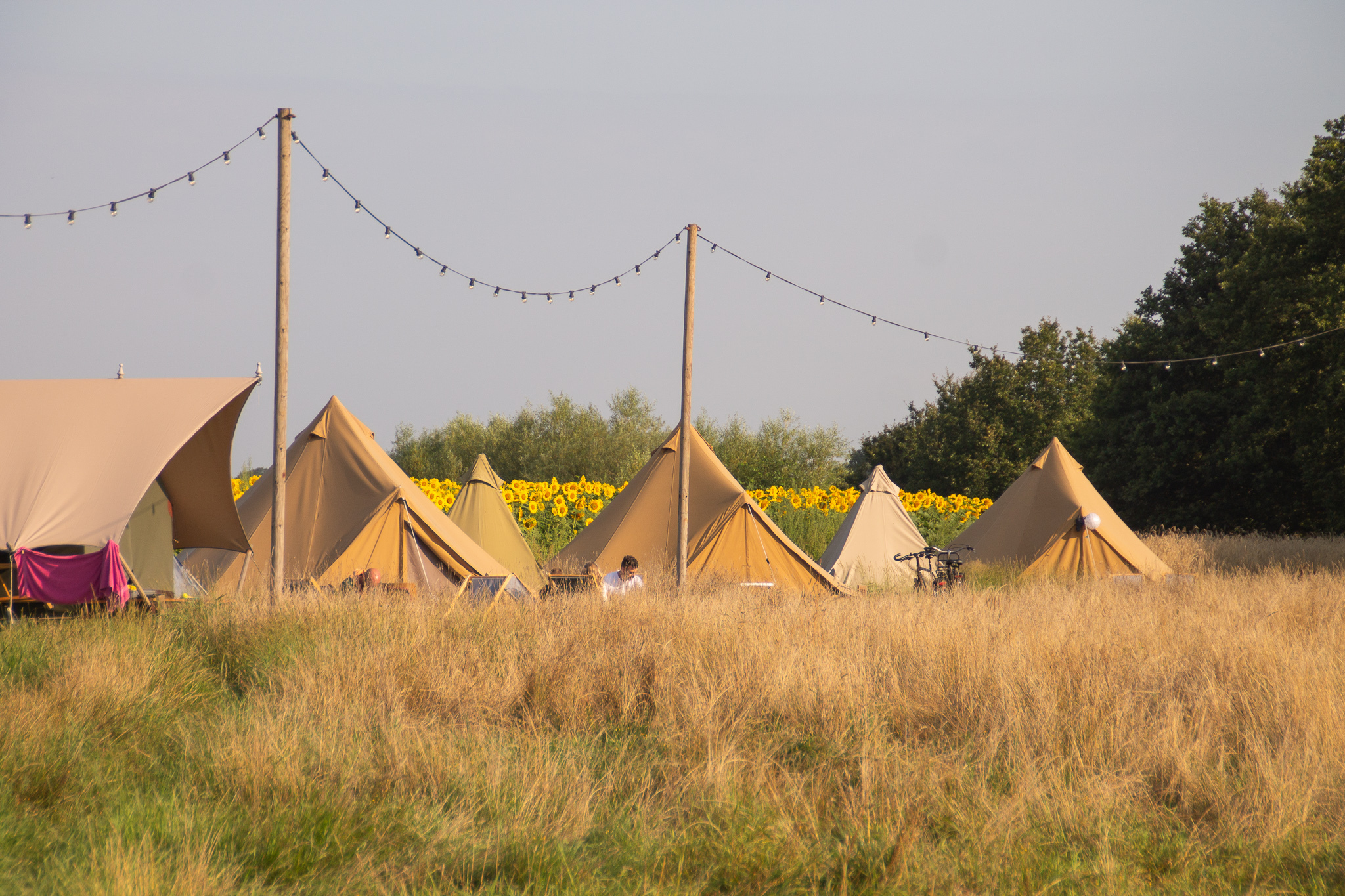 Pop-up glamping: Buurvrouws' Belltentje | 2-4 pers. - Zuna