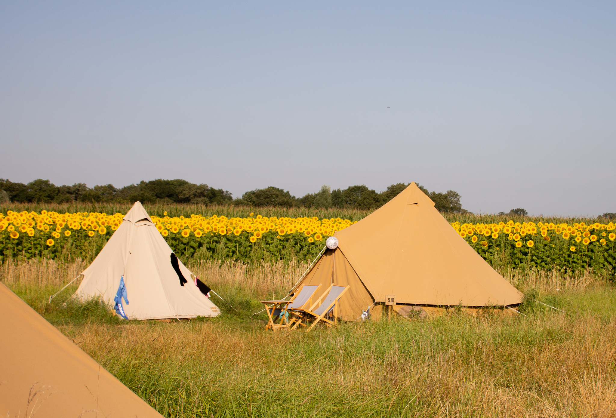 Pop-up glamping: Buurvrouws' Belltentje | 2-4 pers. - Zuna