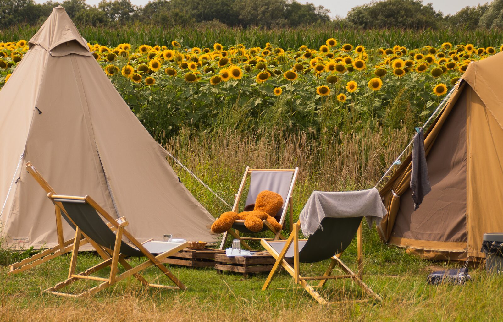 Pop-up glamping: Belltent| 2-4 pers.