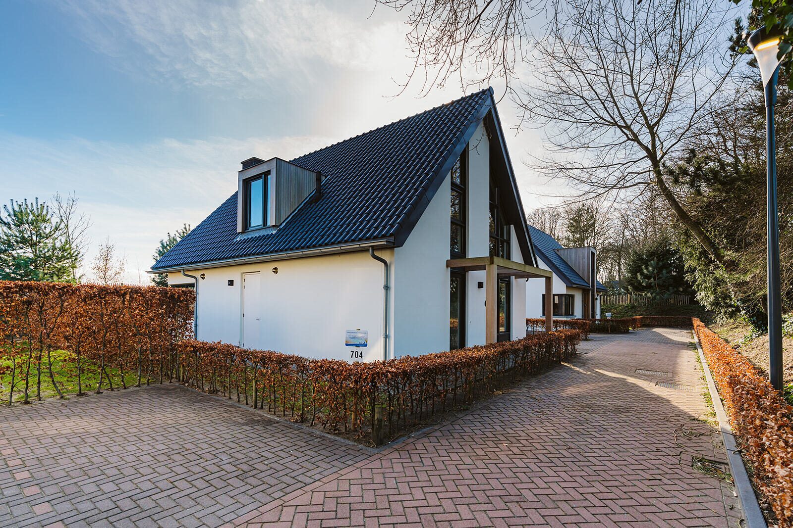 Luxe Villa on Villapark Duinzicht (house 704) - Ouddorp