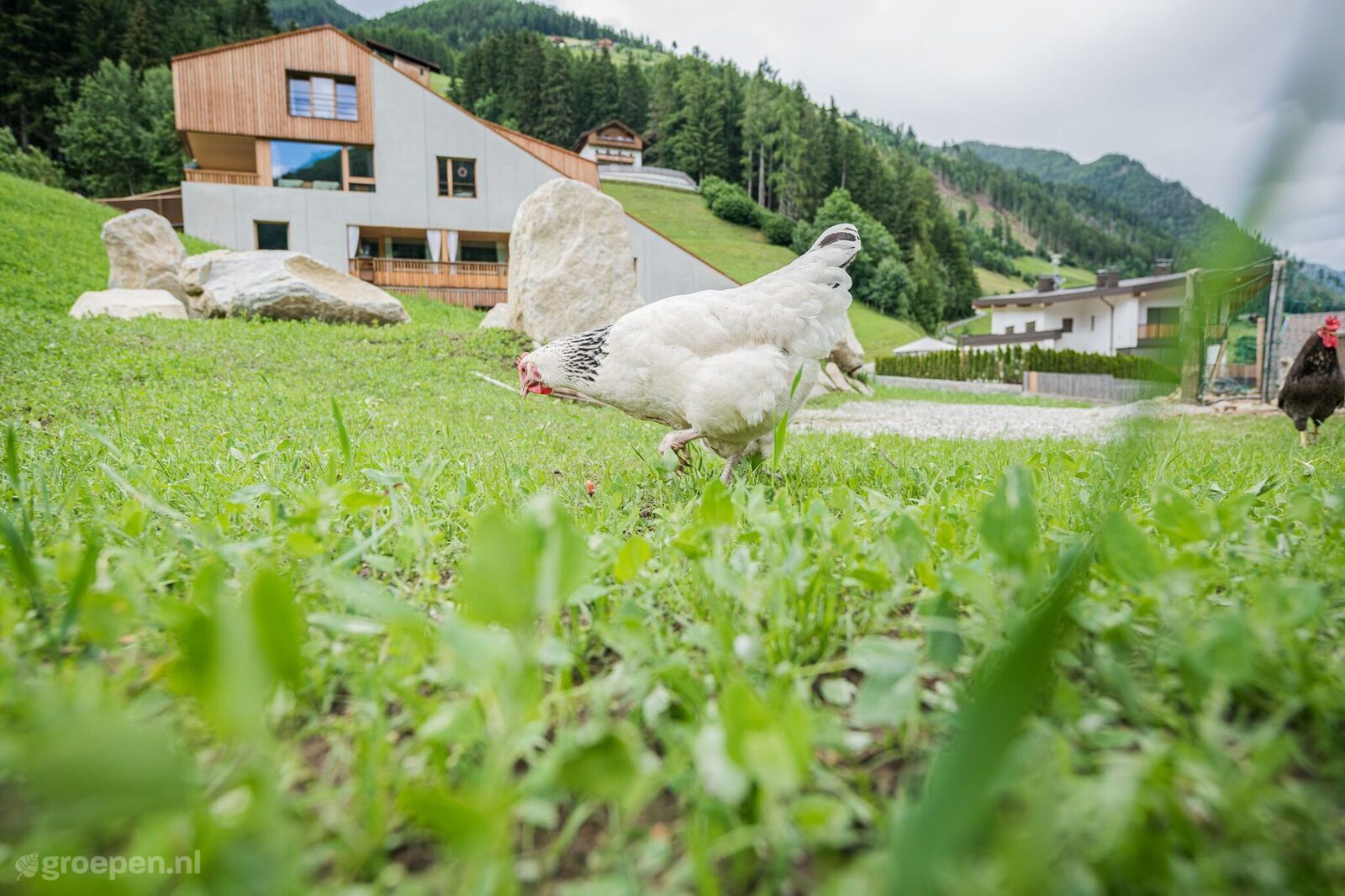 Vakantiehuis Ahrntal