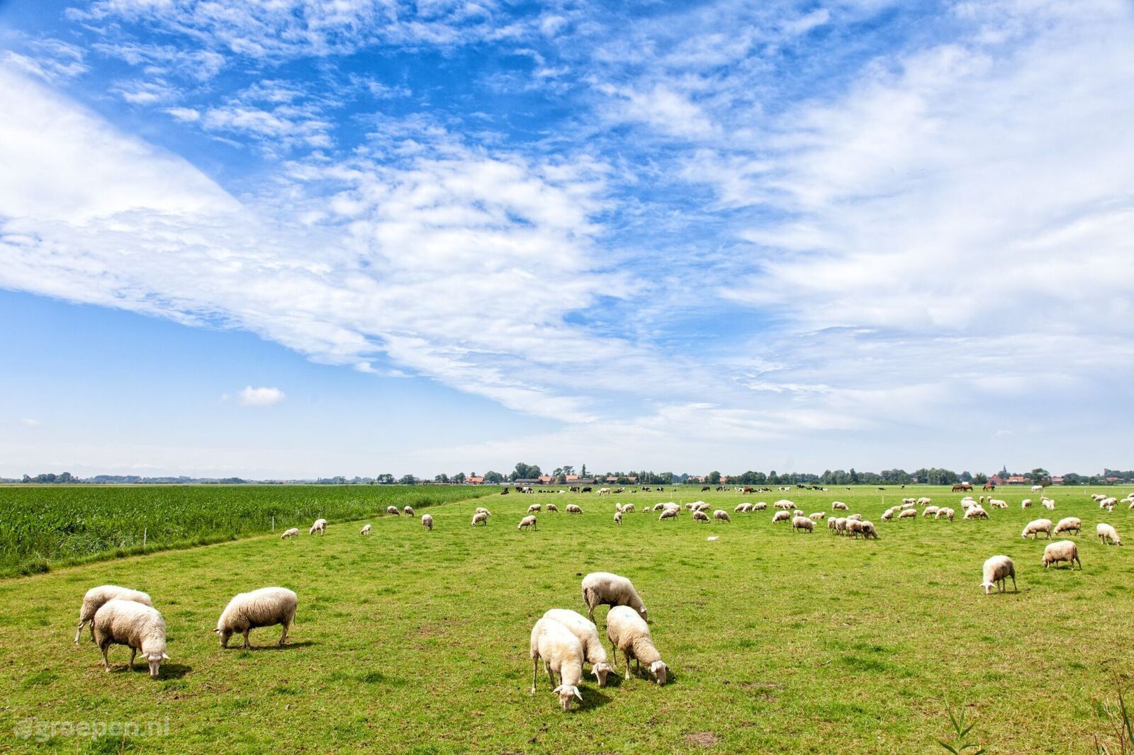 Vakantieboerderij Veere
