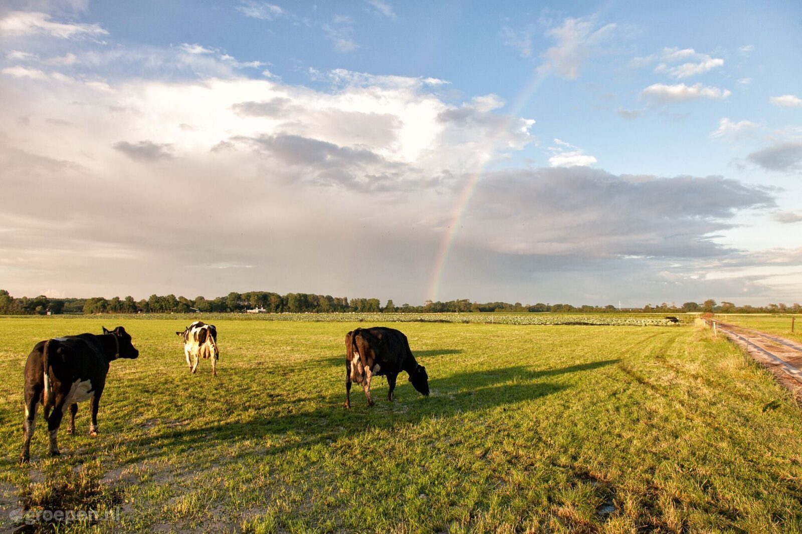 Vakantieboerderij Veere