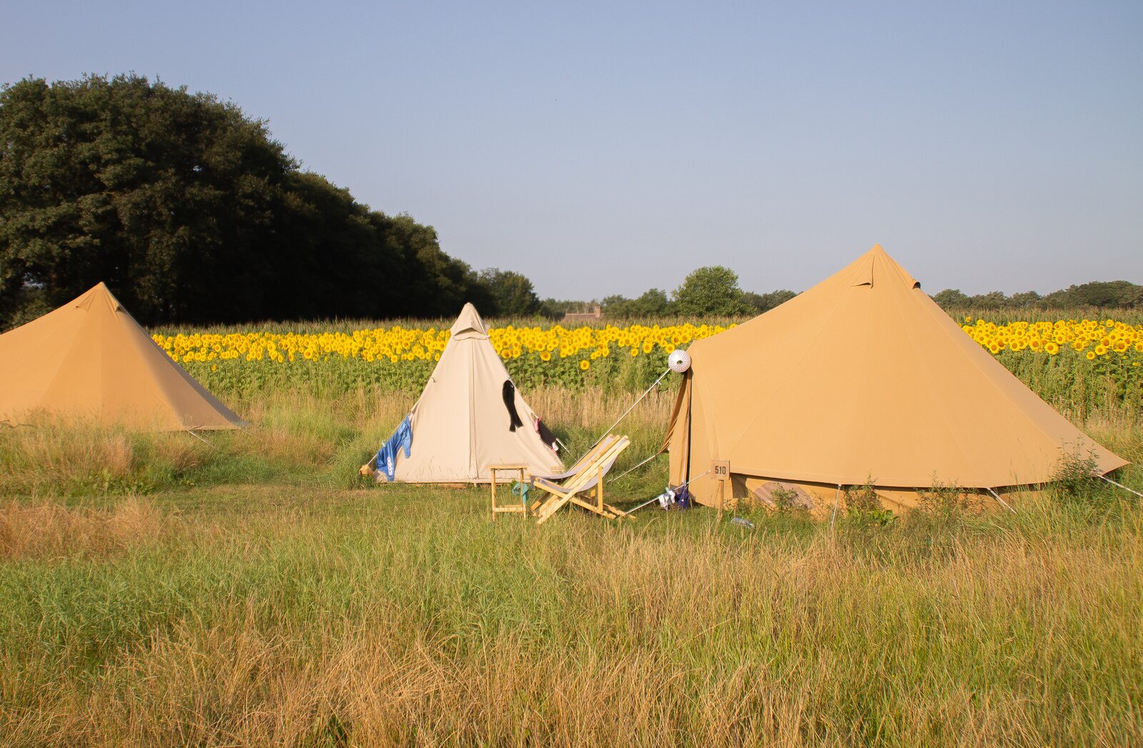 Pop-up glamping: Buurvrouws' Belltentje | 2-6 pers.