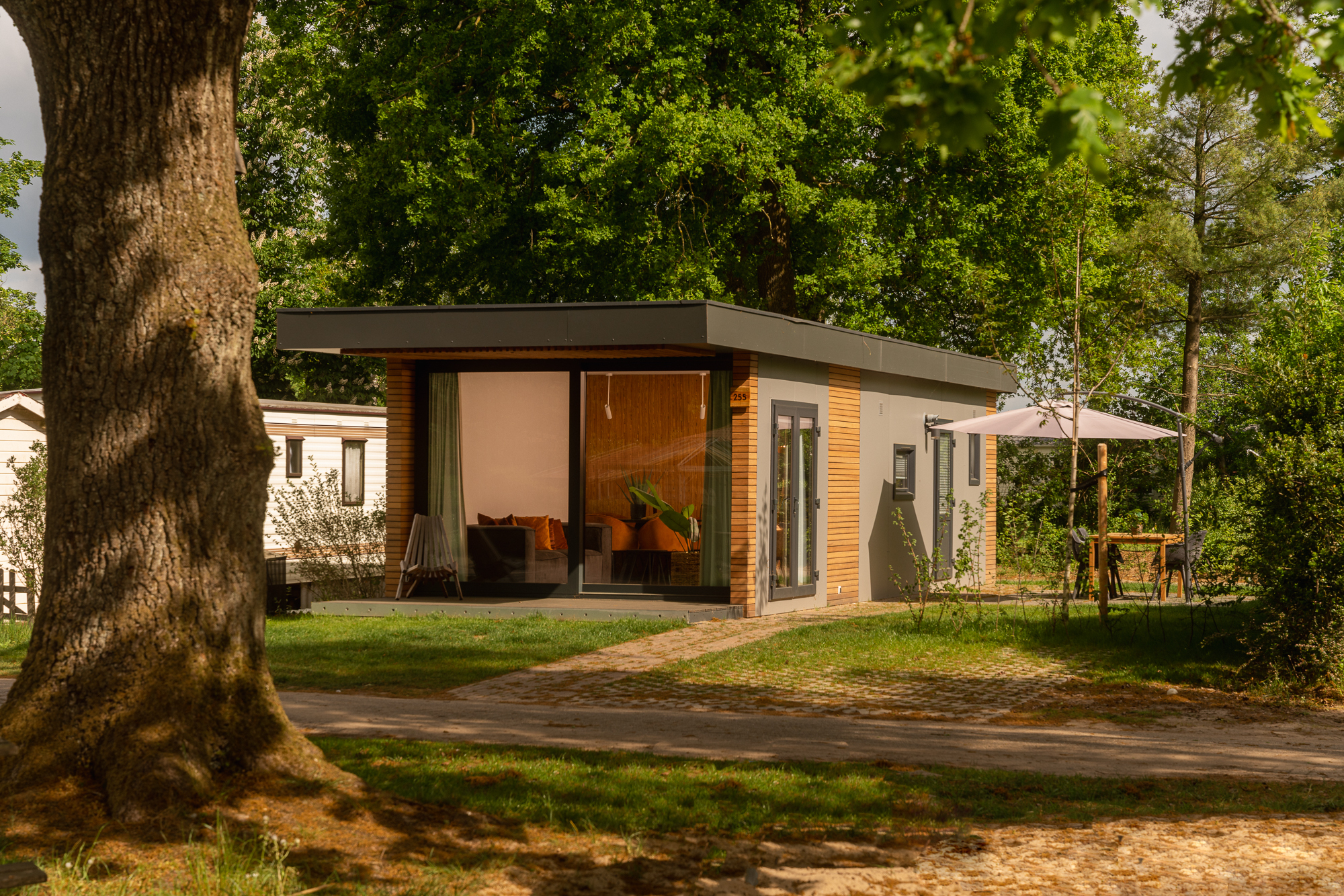 Tiny Cabin | 4 pers. afbeelding