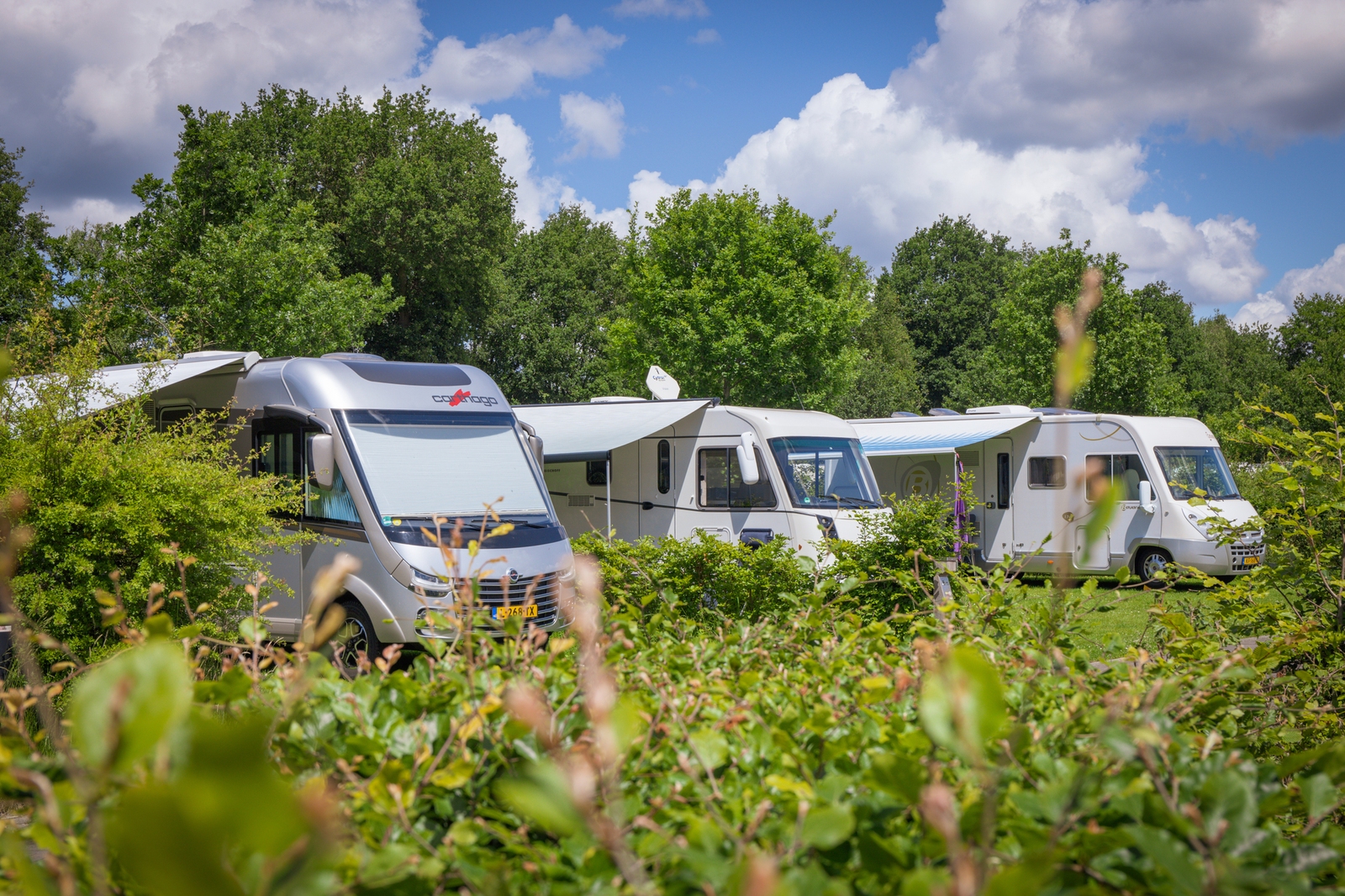 Motorhome pitches