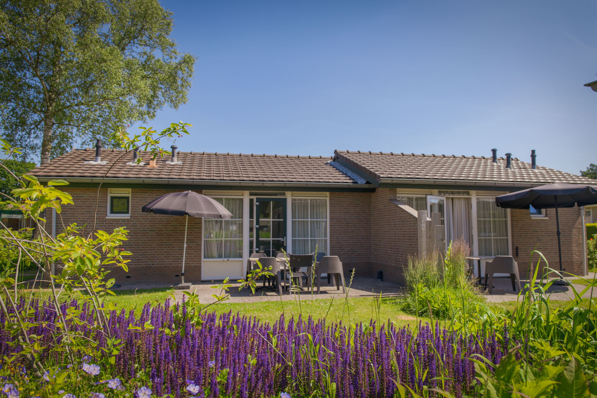 Genießen Sie den Bunckman-Bungalow für 10 Personen im De Boshoek: geräumig, 5 Schlafzimmer, 2 Küchen & sonnige Terrasse in der Veluwe.