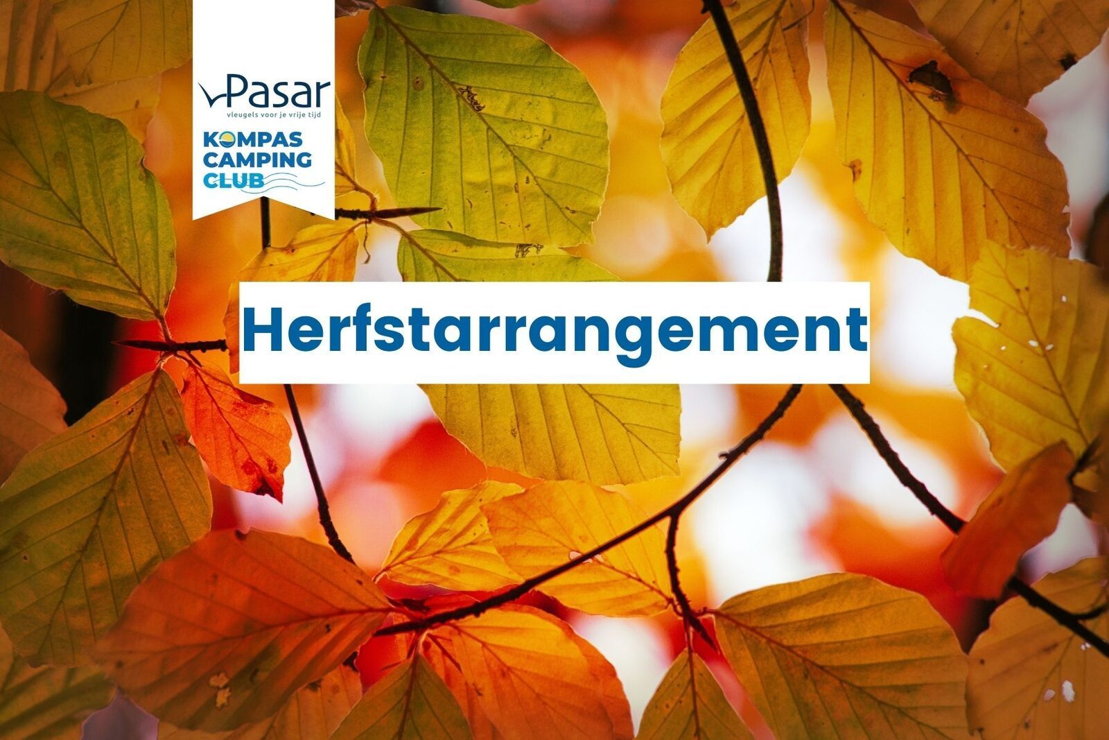 Herfstarrangement kamperen 2023 - Pasar & Kompas Camping Club
