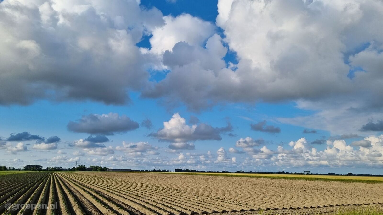 Vakantieboerderij Ulrum 