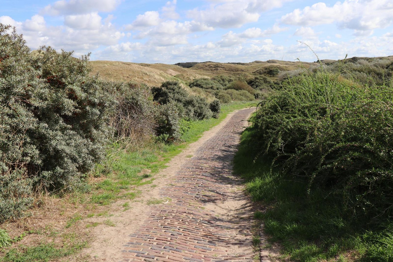 Zomerhuis Bloem aan Zee