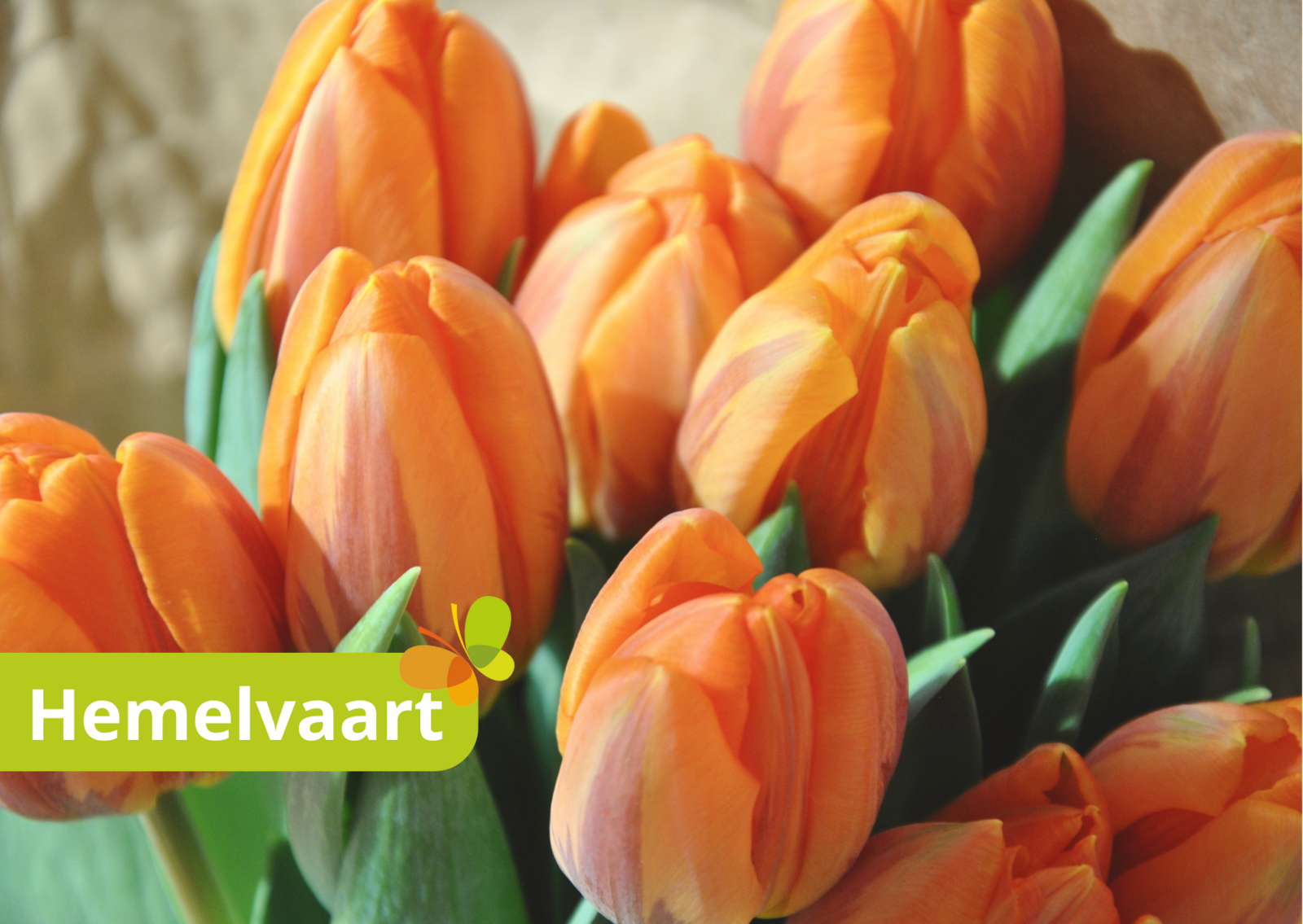 Hemelvaart lang - comfort kampeerplaats met privé sanitair